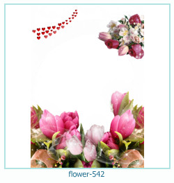 marco de fotos de flores 542