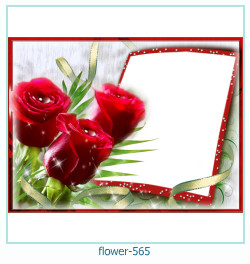 marco de fotos de flores 565