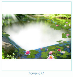 marco de fotos de flores 577