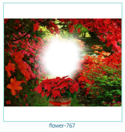 marco de fotos de flores 767