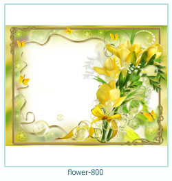marco de fotos de flores 800