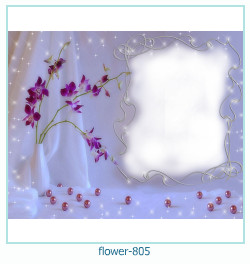 marco de fotos de flores 805