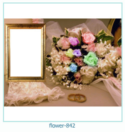 marco de fotos de flores 842