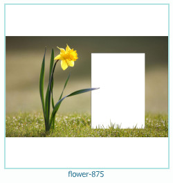 marco de fotos de flores 875