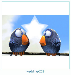marco de fotos de boda 253