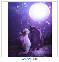 marco de fotos de boda 420