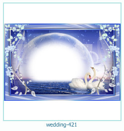 marco de fotos de boda 421