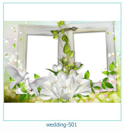 marco de fotos de boda 501